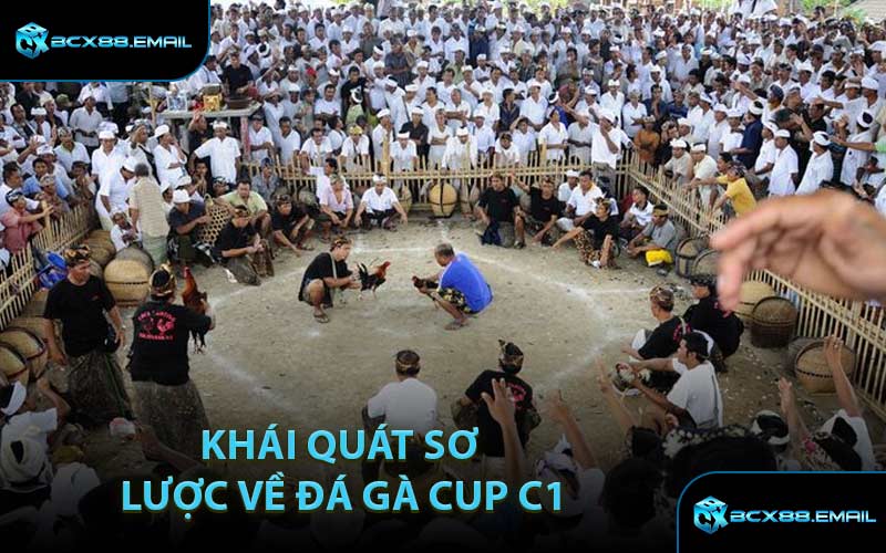 Khái Quát Sơ Lược Về Đá Gà Cup C1