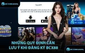 Những Quy Định Cần Lưu Ý Khi Đăng Ký BCX88