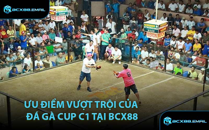 Ưu Điểm Vượt Trội Của Đá Gà Cup C1 Tại BCX88